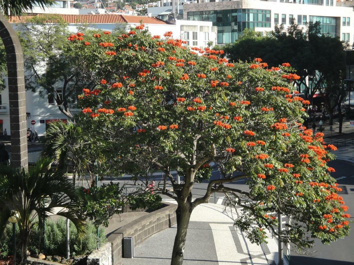 Violeta House Villa Funchal  Exterior photo